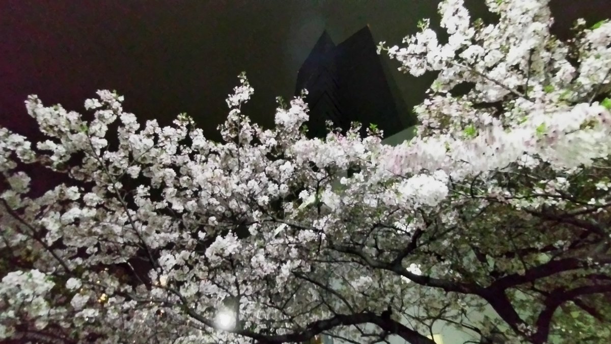 つばめ魂 ヤクルトスワローズ応燕YouTuber tweet media