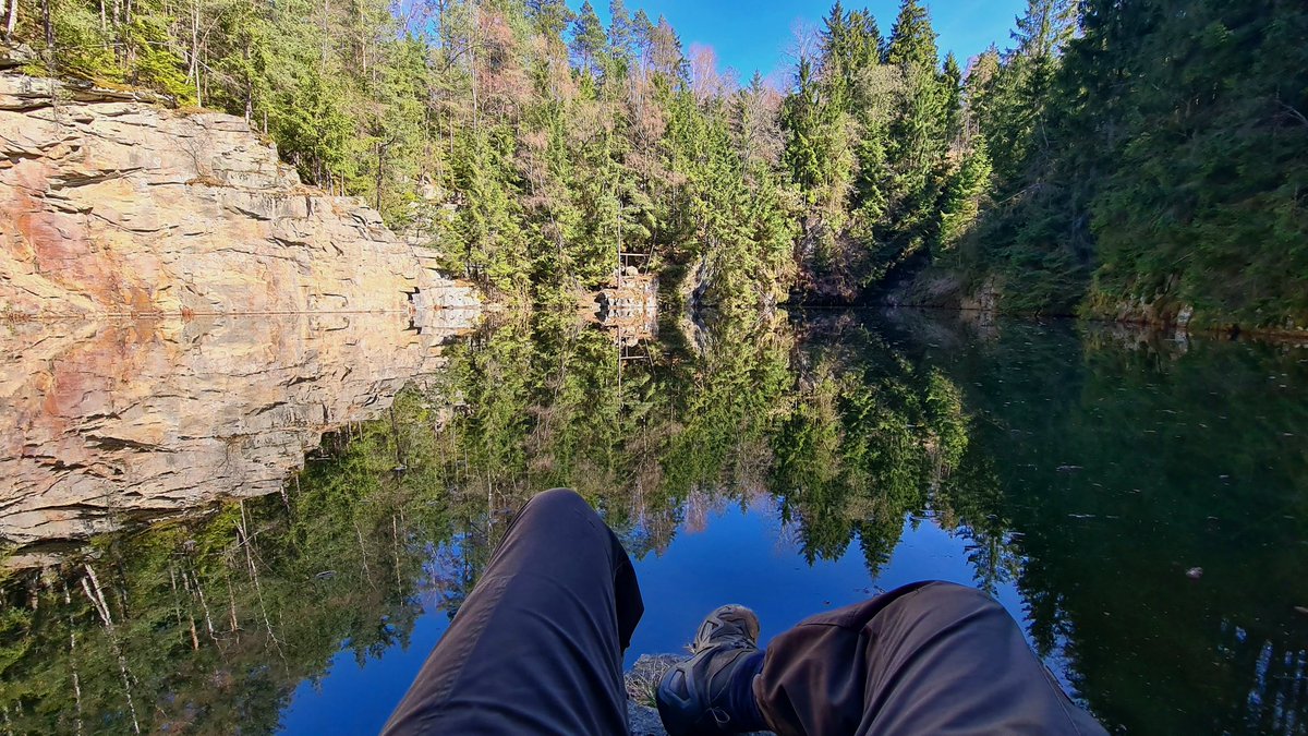 Alces ᛉ tweet media