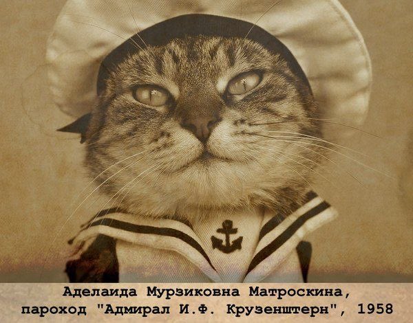 🐾Nadin tweet media