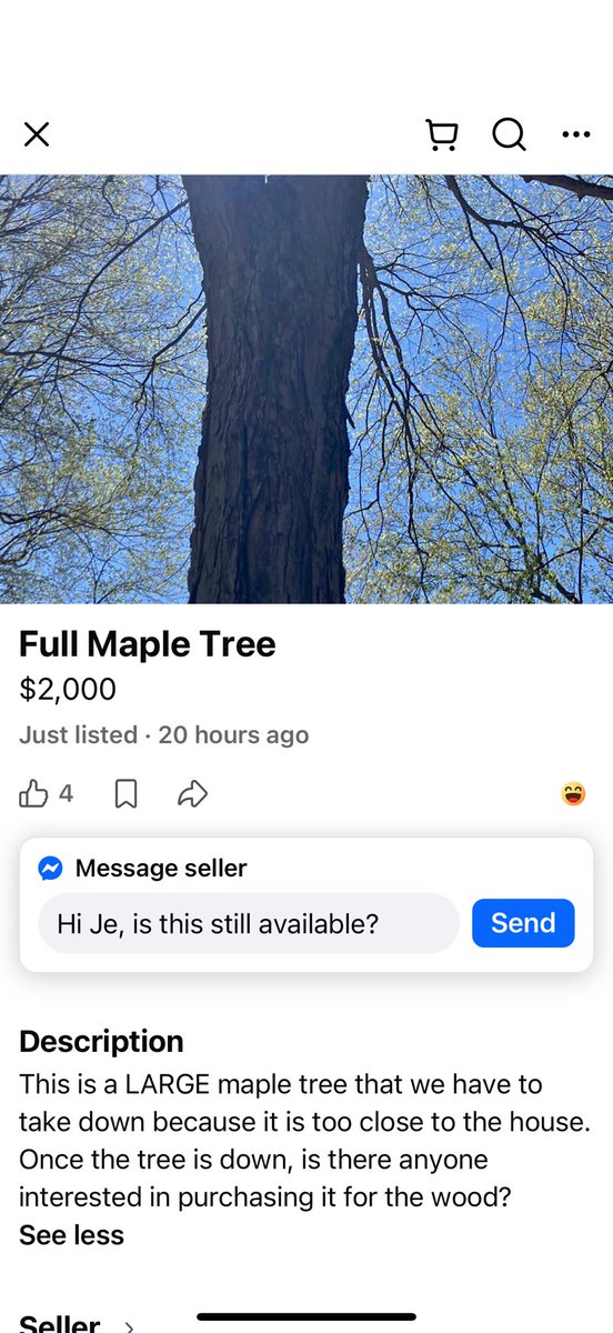 Plant Brah tweet media