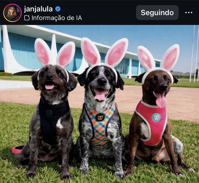 naimar_da's tweet photo. Queremos justiça pelo cãozinho Orelha q foi torturado há 3 meses atrás por delinquentes da elite de Fpolis e ninguém foi punido. São pessoas q tem 🤑🤑. Por isso a justiça está protegendo os psicopatas. Inadmissível! 
#JustiçaPorOrelha https://t.co/LwbYaZ9A1D