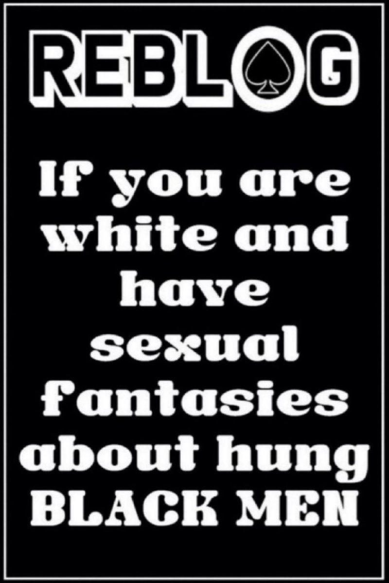 Black Raphael 🥷♠️ tweet media