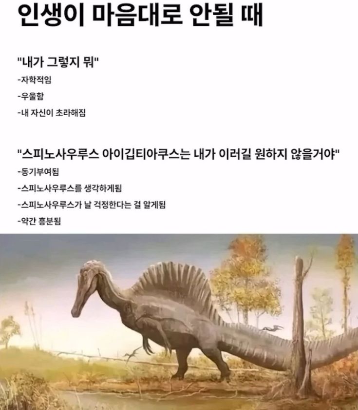 hapgyeokplease's tweet photo. 전 공부하다가 정신병 올 때 핀터를 뒤지는 습관이 있는데요••• 어제 주운 짤들이에요
잘하든 못하든 분명한 건 성장하고 있다는 거니까 같이 끝까지 가보자구요🥺🫂 https://t.co/OE0k1bgd9y