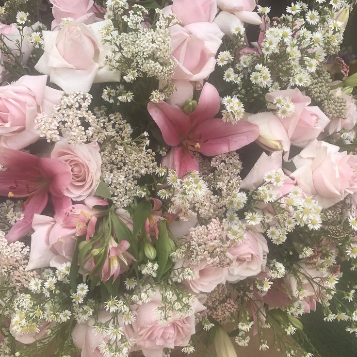 Zowe | ENHYPEN IS 7 tweet media