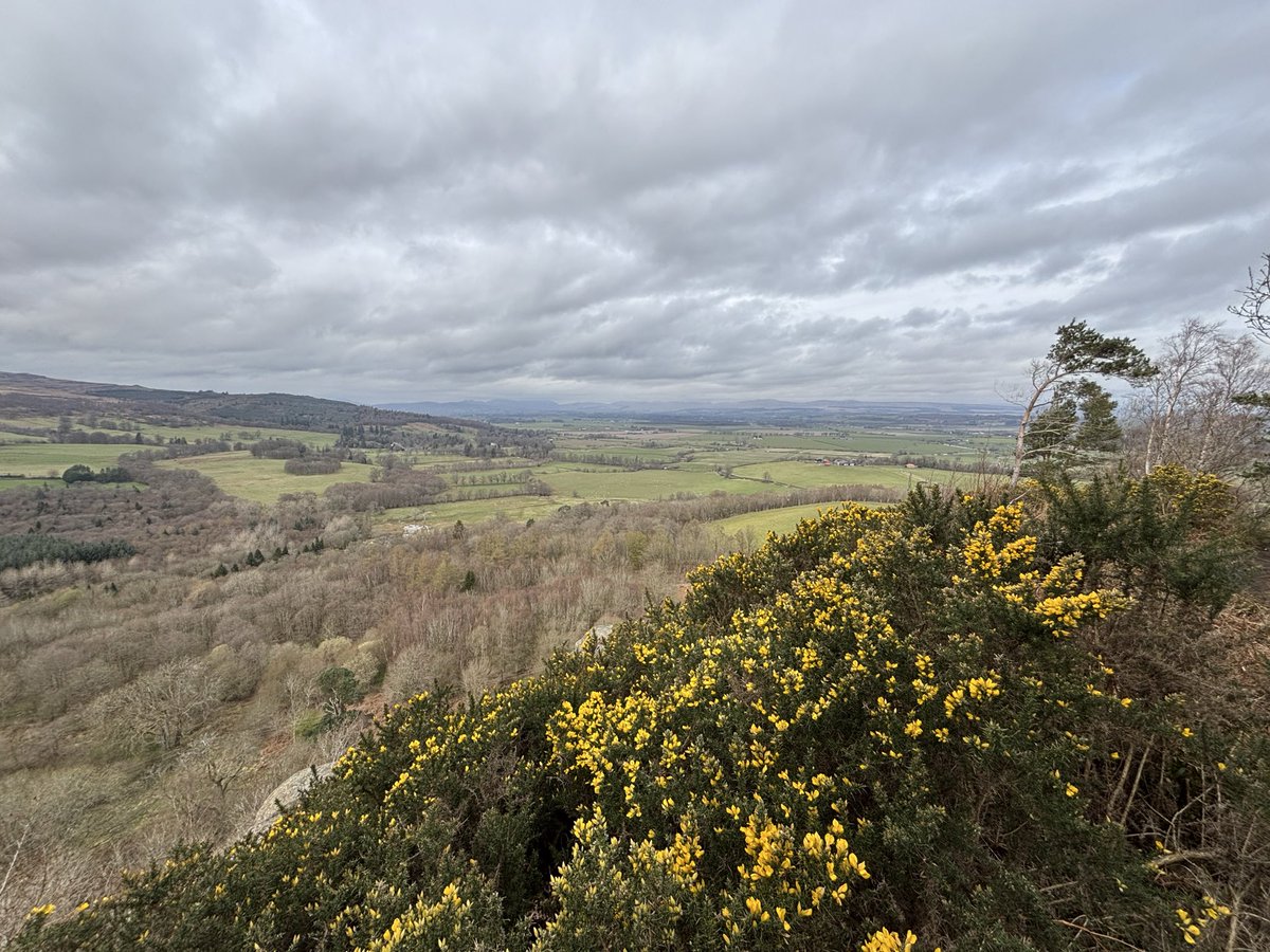 Alasdair MacKellar tweet media