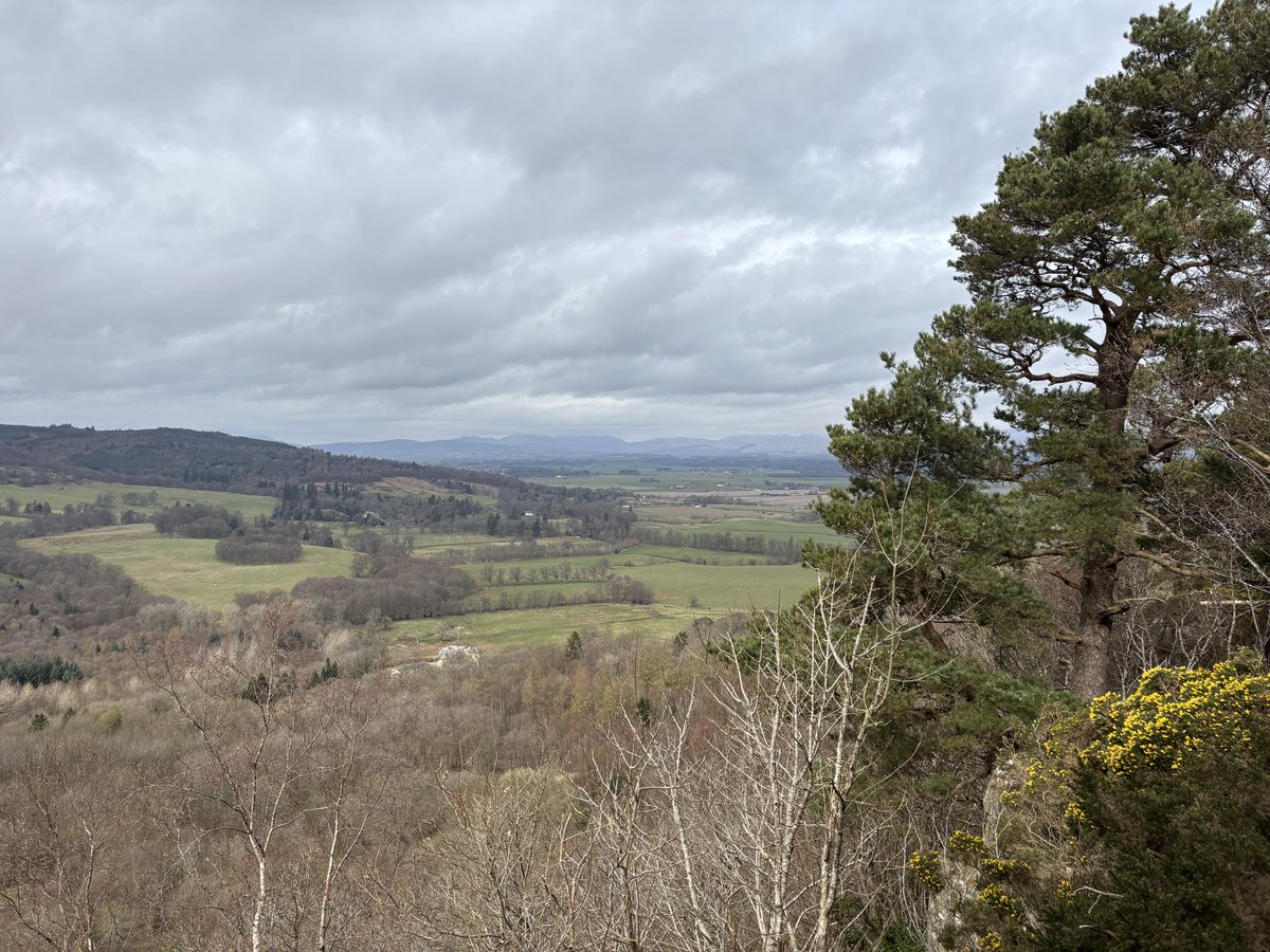 Alasdair MacKellar tweet media