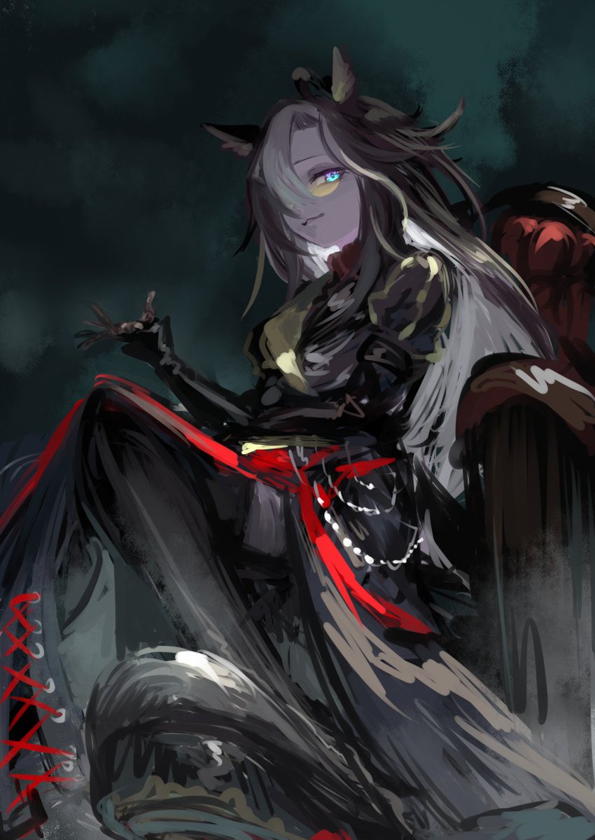 古蜘蛛 tweet media