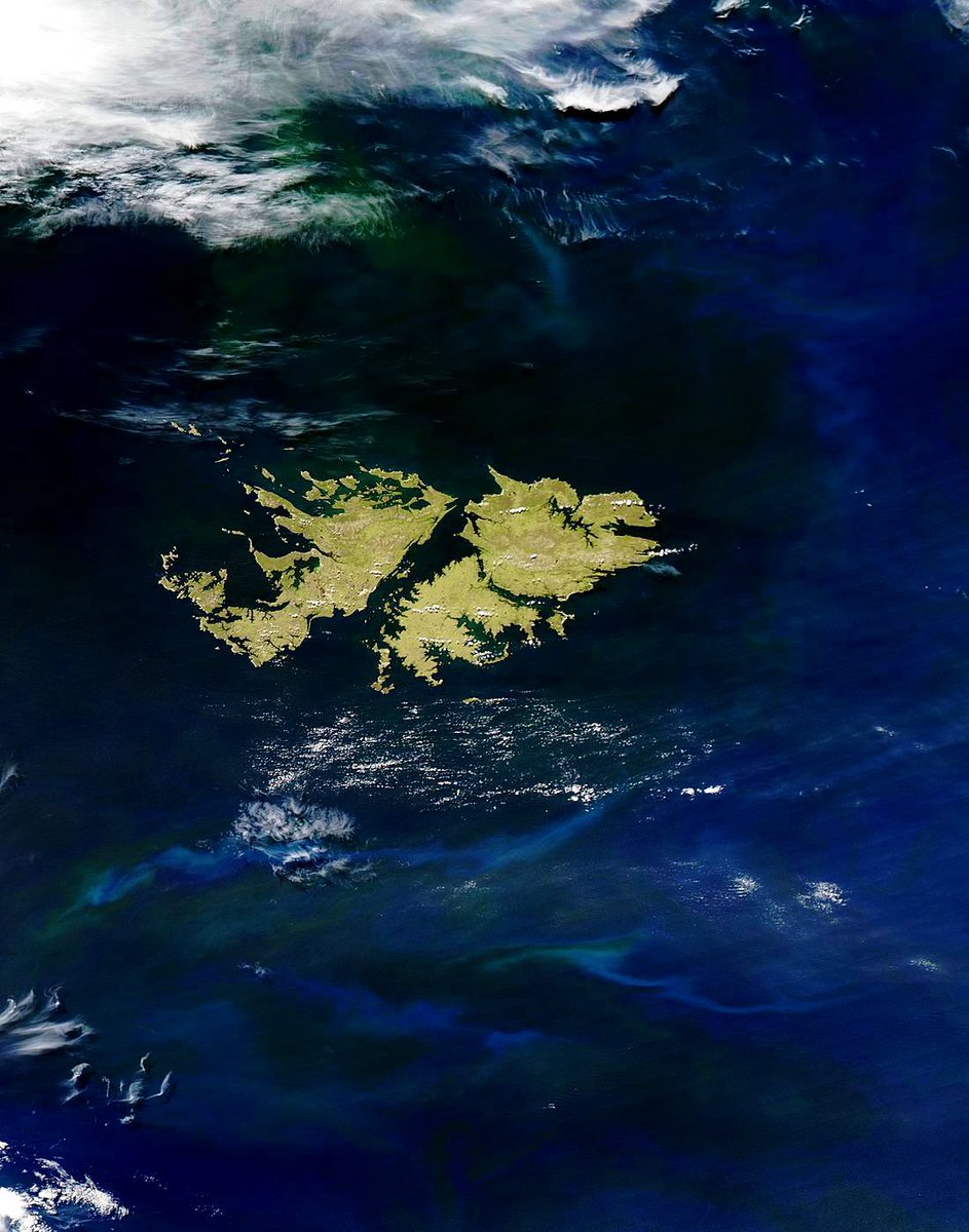 Lorenzo Cianti tweet media