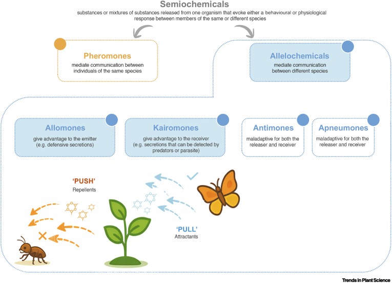 TrendsPlantSci's tweet photo. Pest behavioural disruption by plant metabolites: a crop protection challenge https://t.co/sg4ksDSy1B #plantscience https://t.co/WV53aiFvin