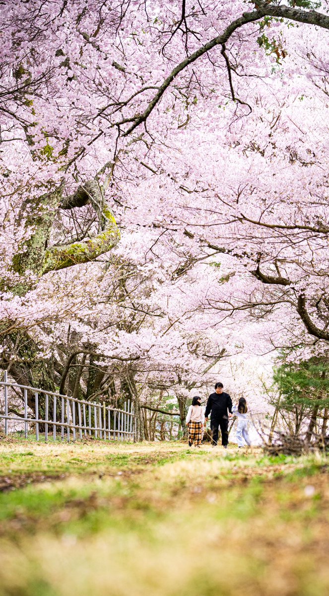 Kotaro//🇺🇸🐈‍⬛ tweet media