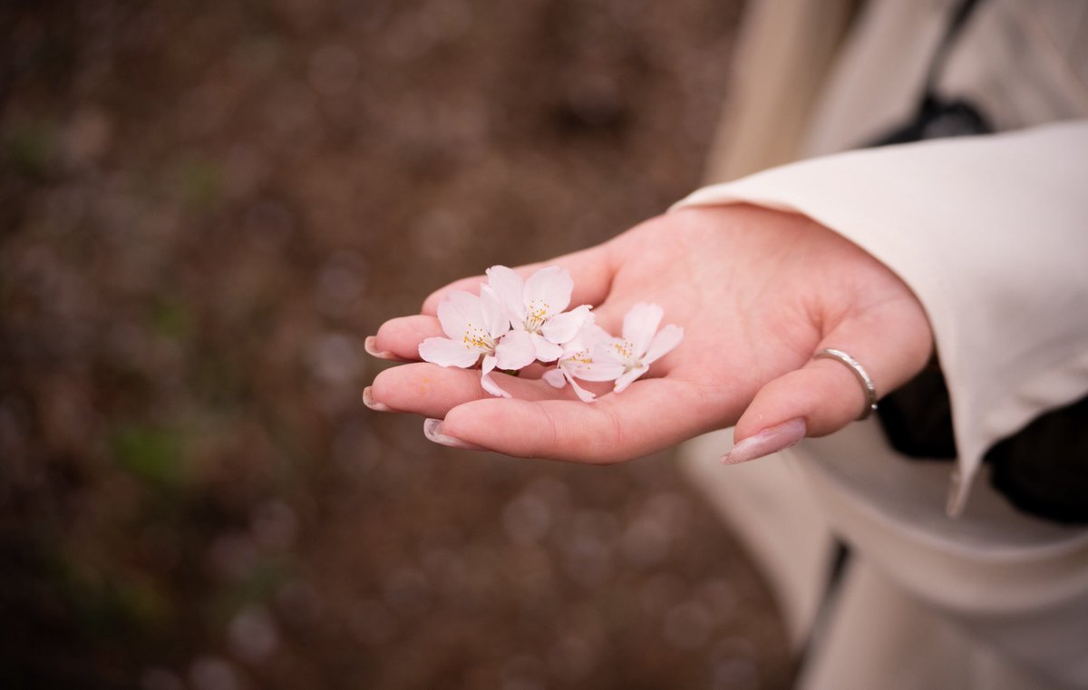 Kotaro//🇺🇸🐈‍⬛ tweet media