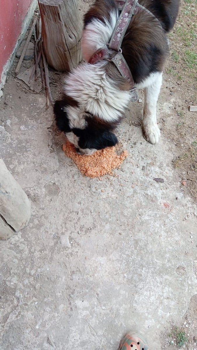 Ari Arciniega tweet media