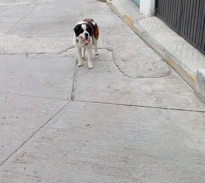 Ari Arciniega tweet media