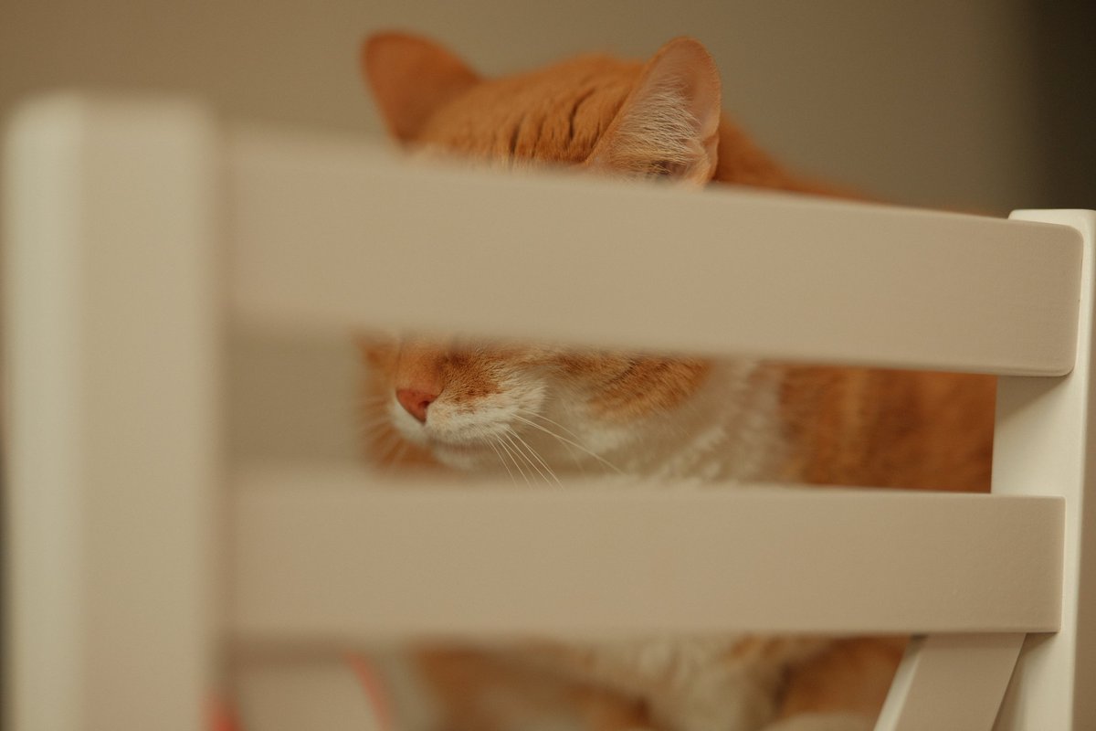 órásmester Gyurica tweet media