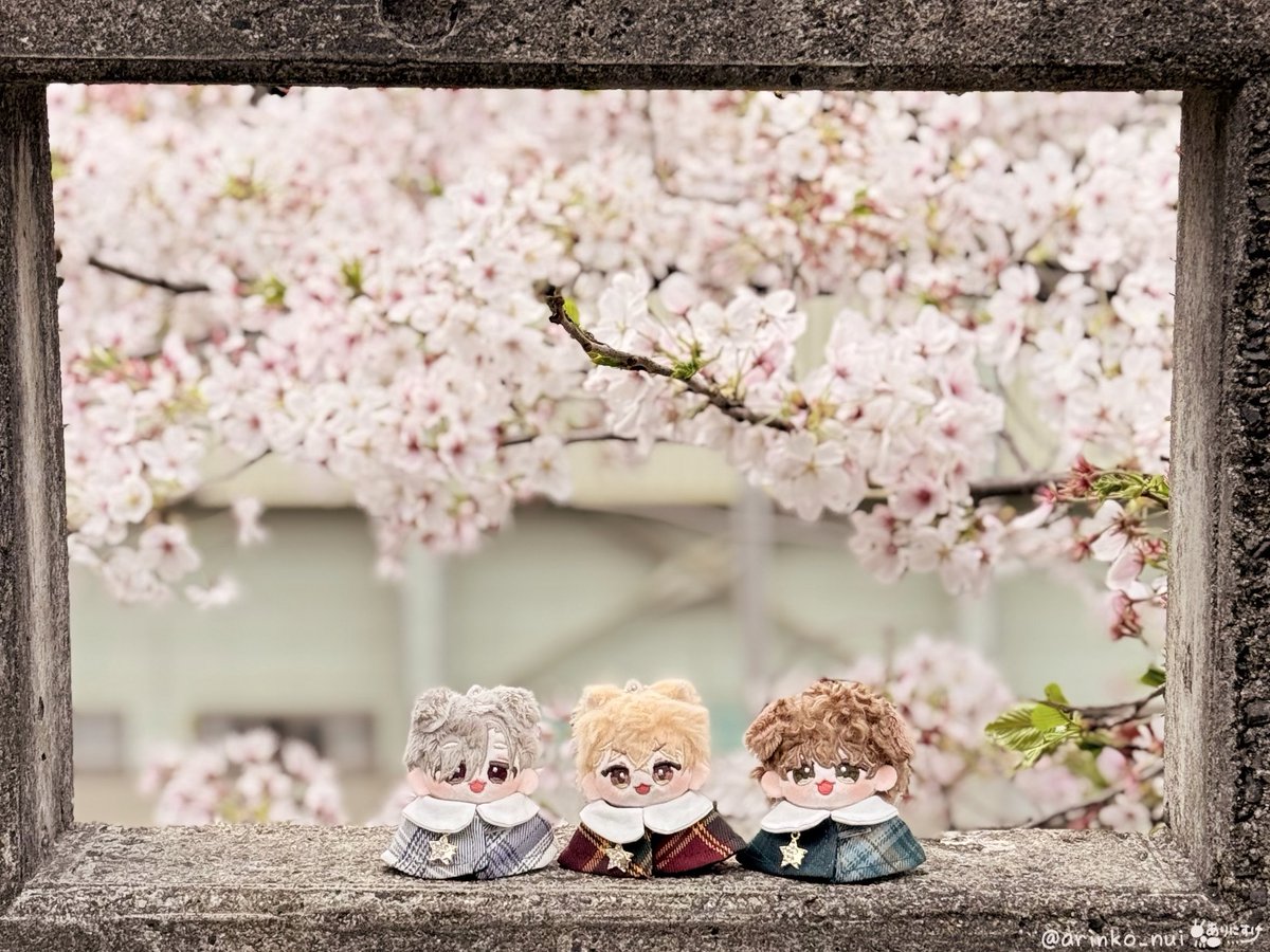 ありにすけ tweet media