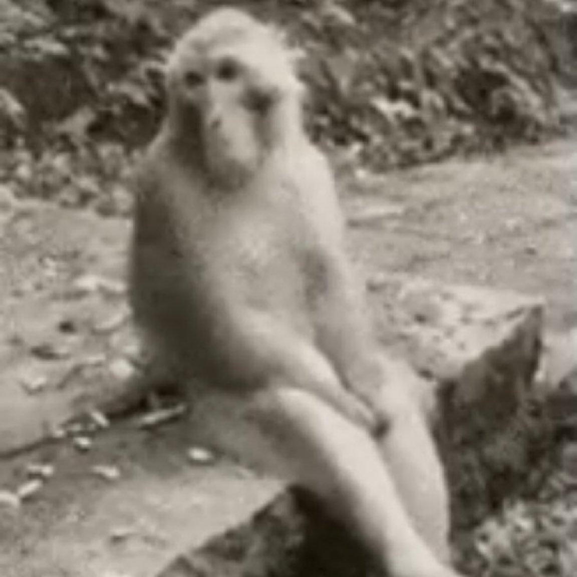 Stephano🎗️🥸 tweet media