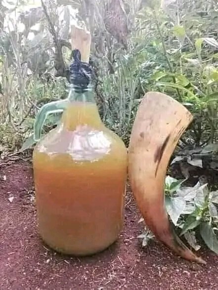 EmNdirangu's tweet photo. @KRACorporate  mkuu , nimelipwa na hii, yenu naleta wapi? https://t.co/2gFp2KFLft