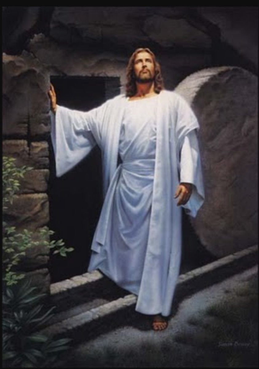 Cristina Méndez García tweet media