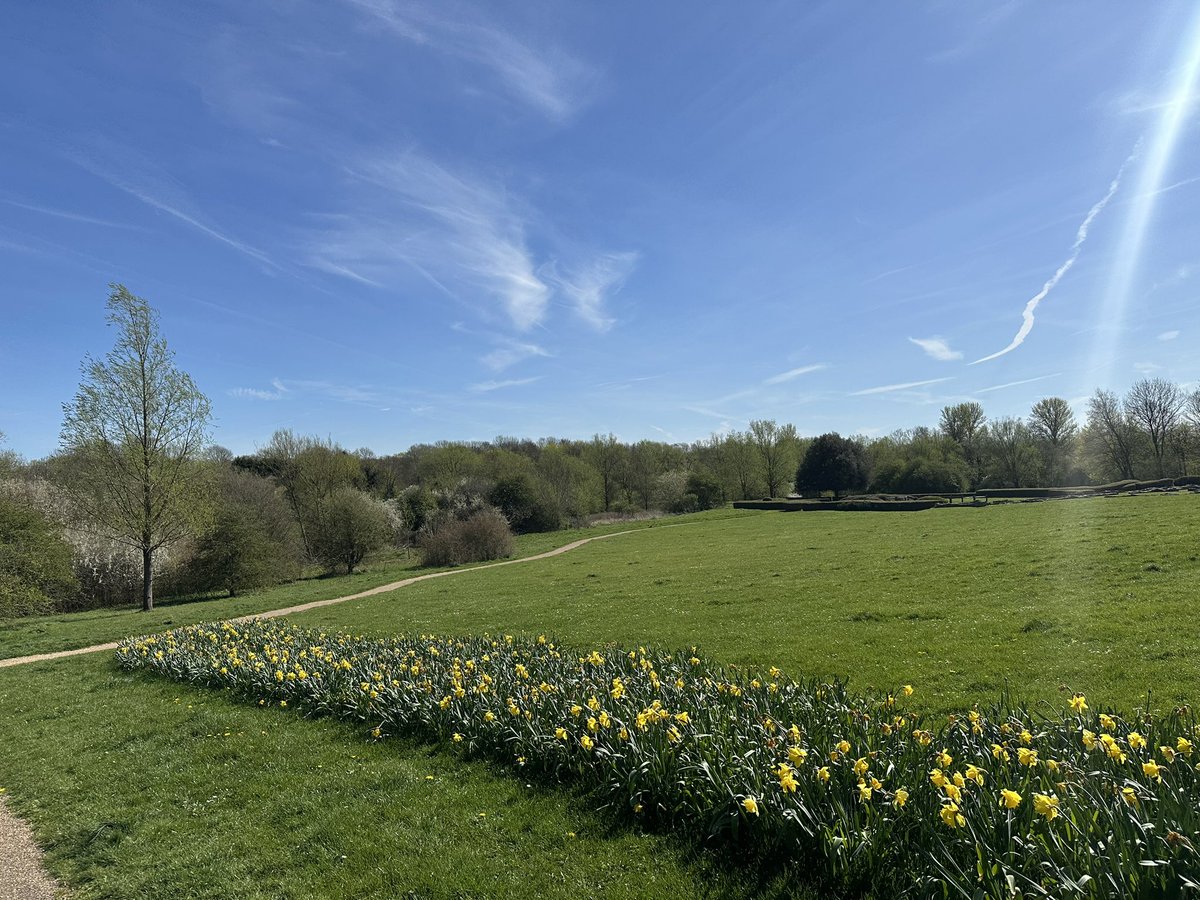 Milton Keynes Future tweet media
