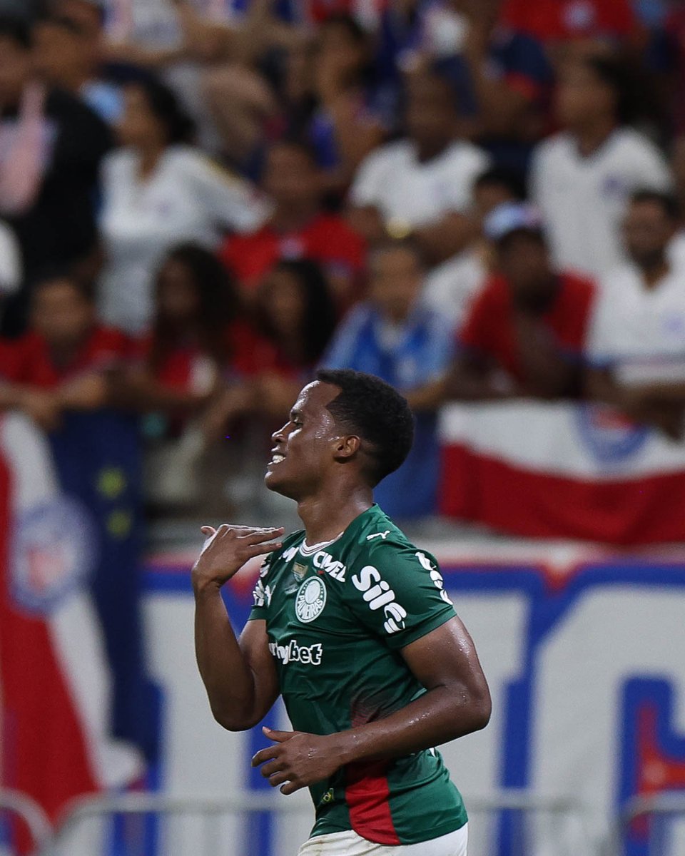 SE Palmeiras tweet media