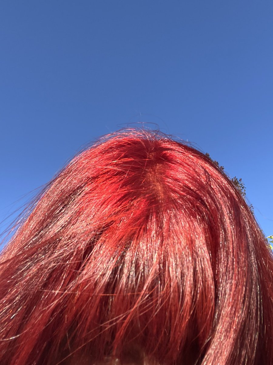 popi is NOT OK ⭑.ᐟ 卌 🇨🇱 tweet media