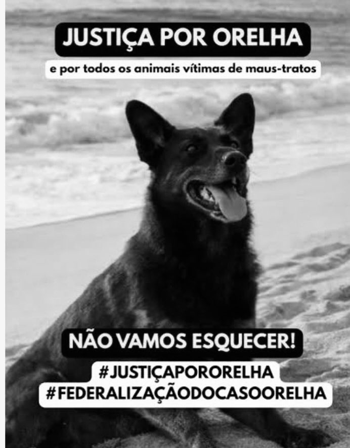 Marco Valverde ® tweet media