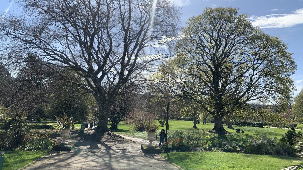 SheIs_Mina's tweet image. Spring is here finally 🩷#BankHolidayMonday