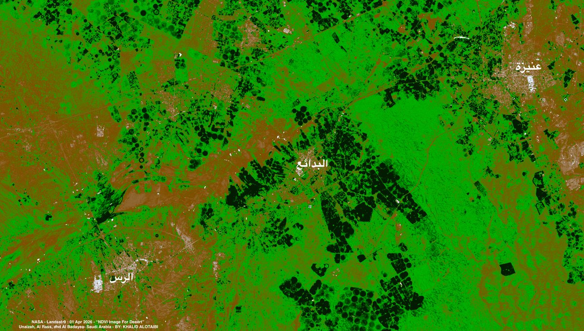 Khalid Al-Otaibi tweet media