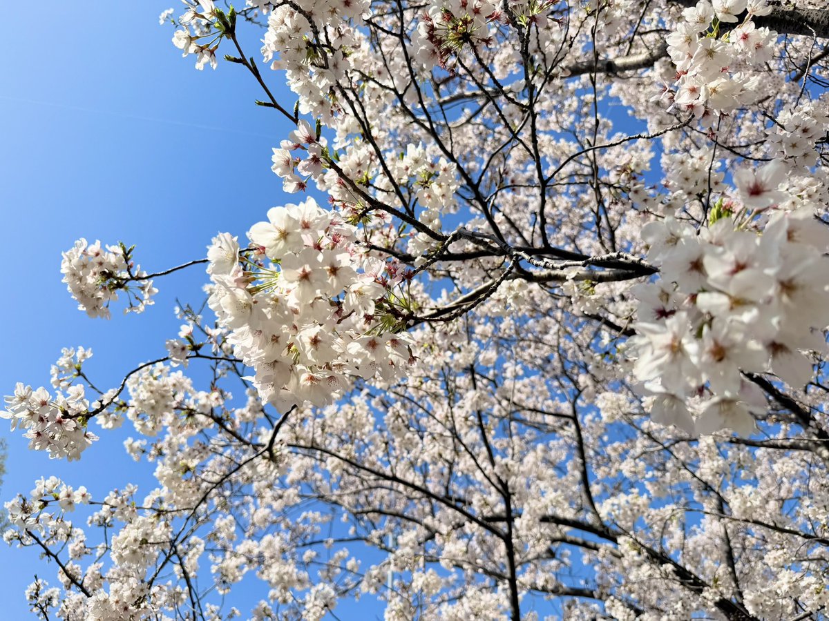 竹井亮介 tweet media