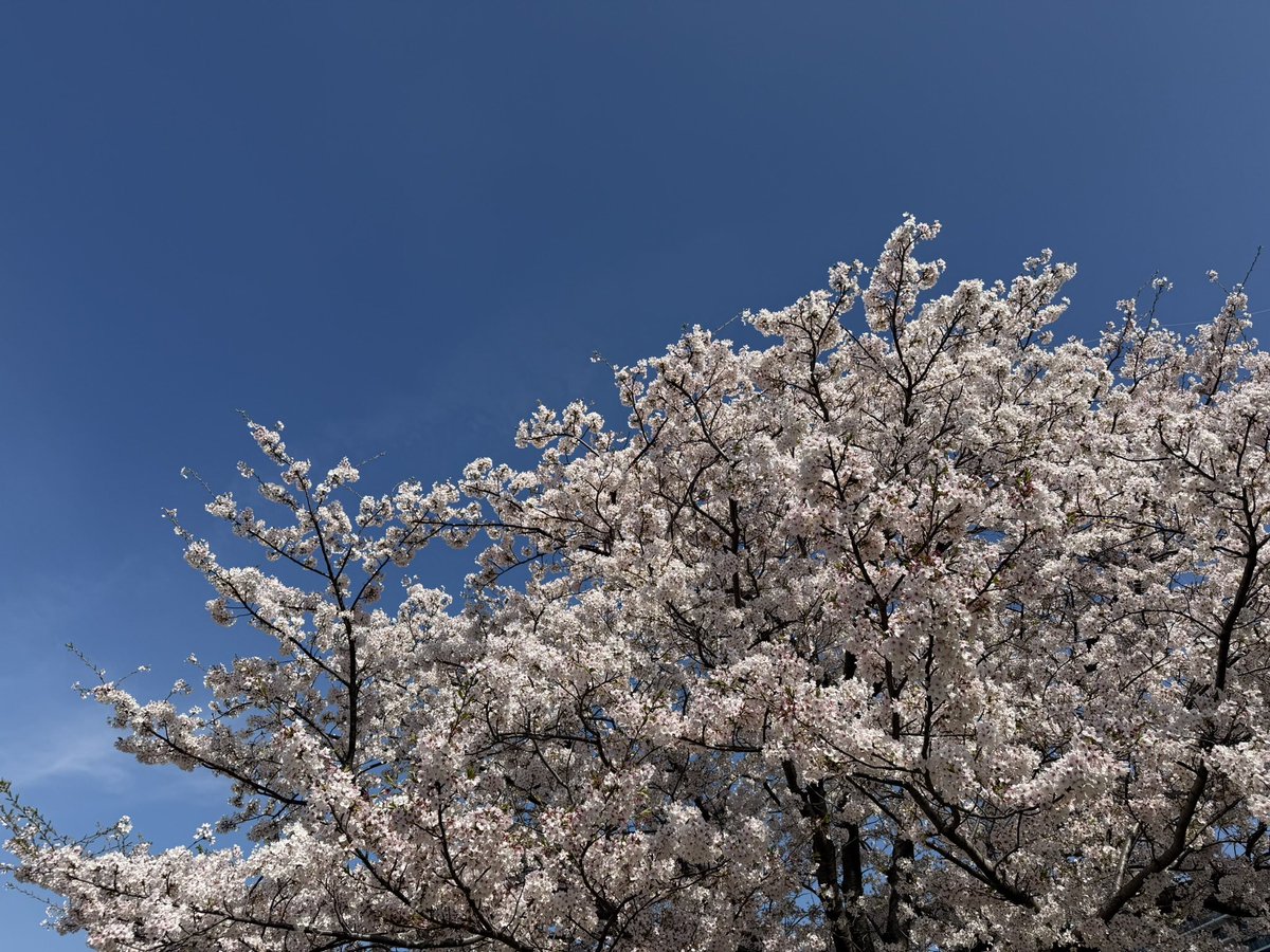 竹井亮介 tweet media