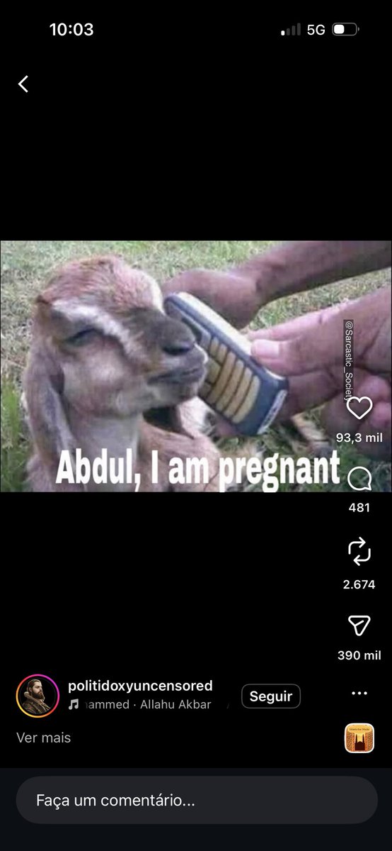 Marcus Alessandretti tweet media