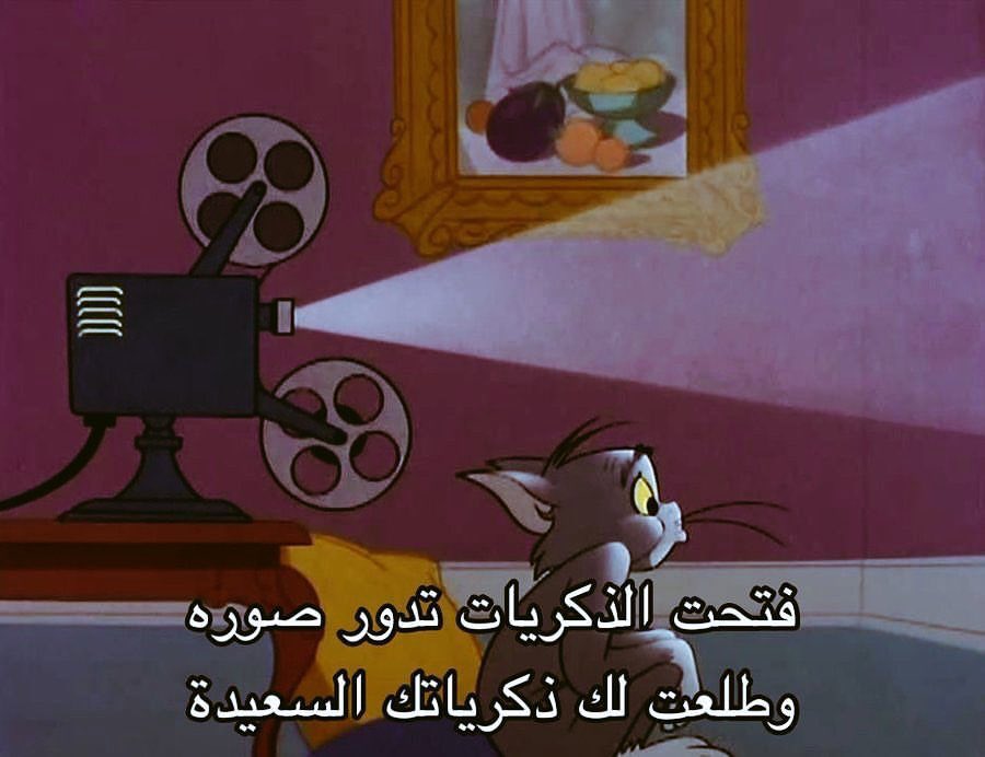 egymeme11's tweet photo. https://t.co/4nSnfQqfty