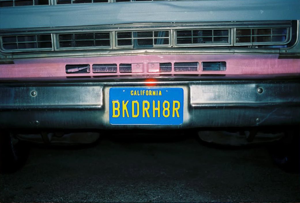 Updates Sabrina Brasil 🐾 tweet media