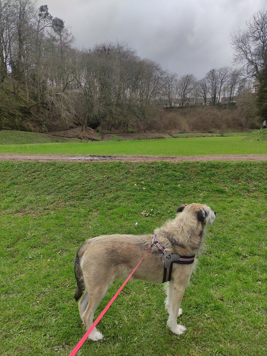 The Jackster missing Victordog1🌈🌈💔 tweet media