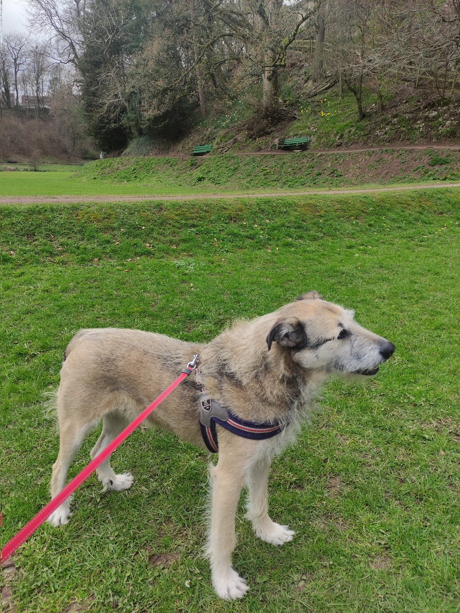 The Jackster missing Victordog1🌈🌈💔 tweet media