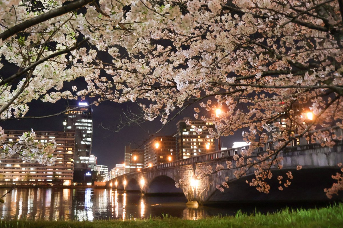 Odoroki_Yakiika tweet media