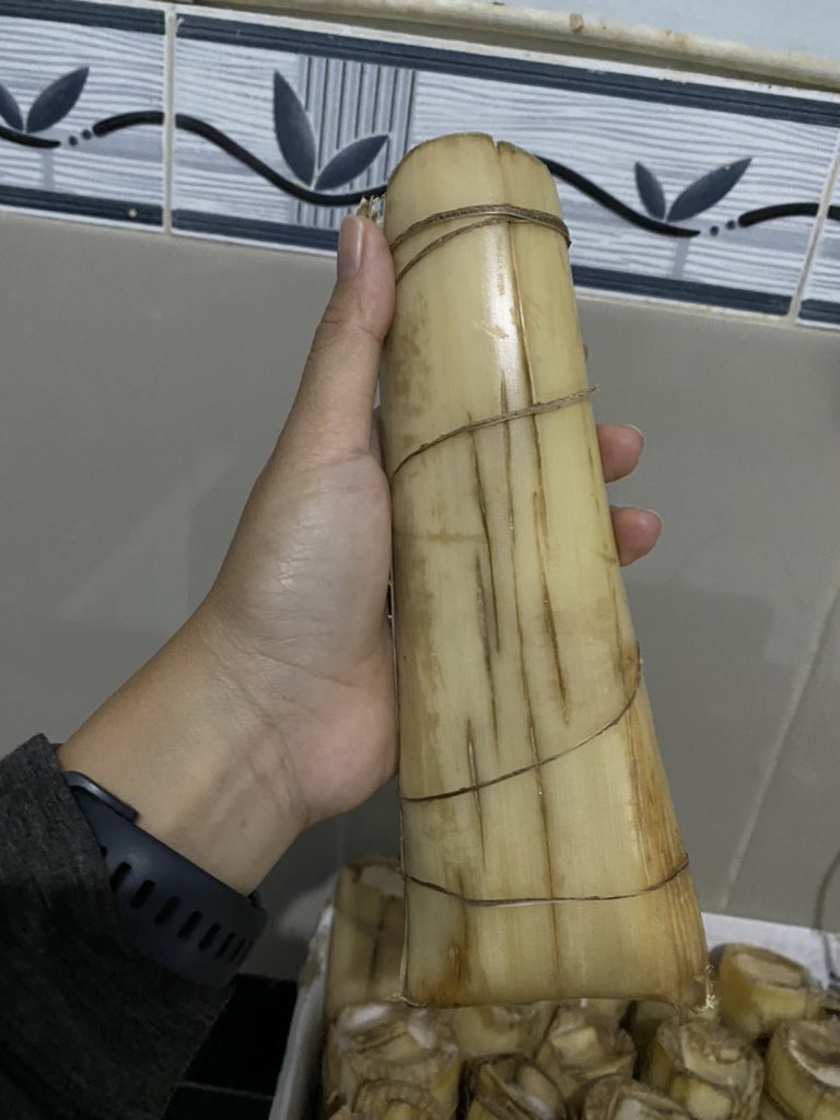 bubu miyo tweet media