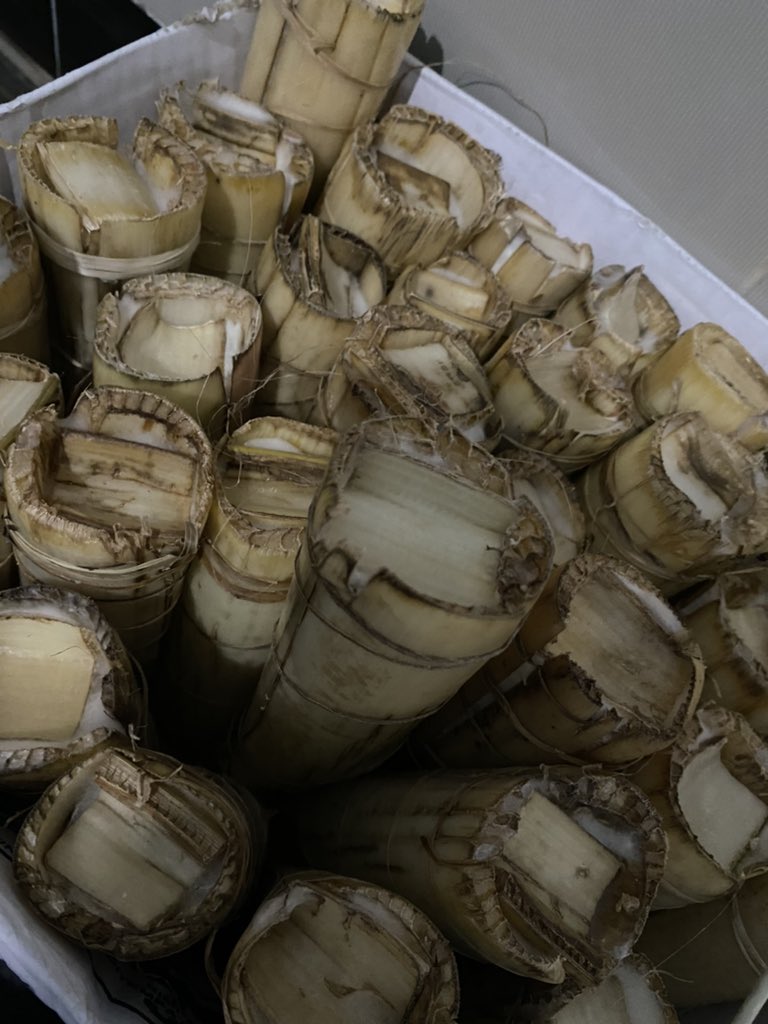 bubu miyo tweet media