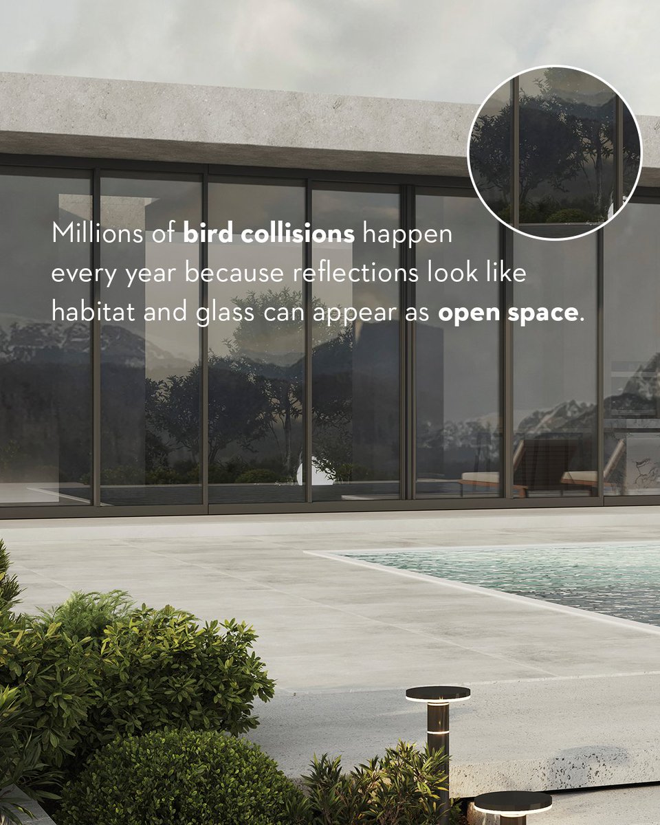 Window_City's tweet photo. Millions of bird collisions happen every year because reflections look like habitat and glass can appear as open space. Bird-friendly glass uses subtle patterns that birds can see—preventing collisions without compromising design.

#WindowCity https://t.co/eRn3bLC1BL
