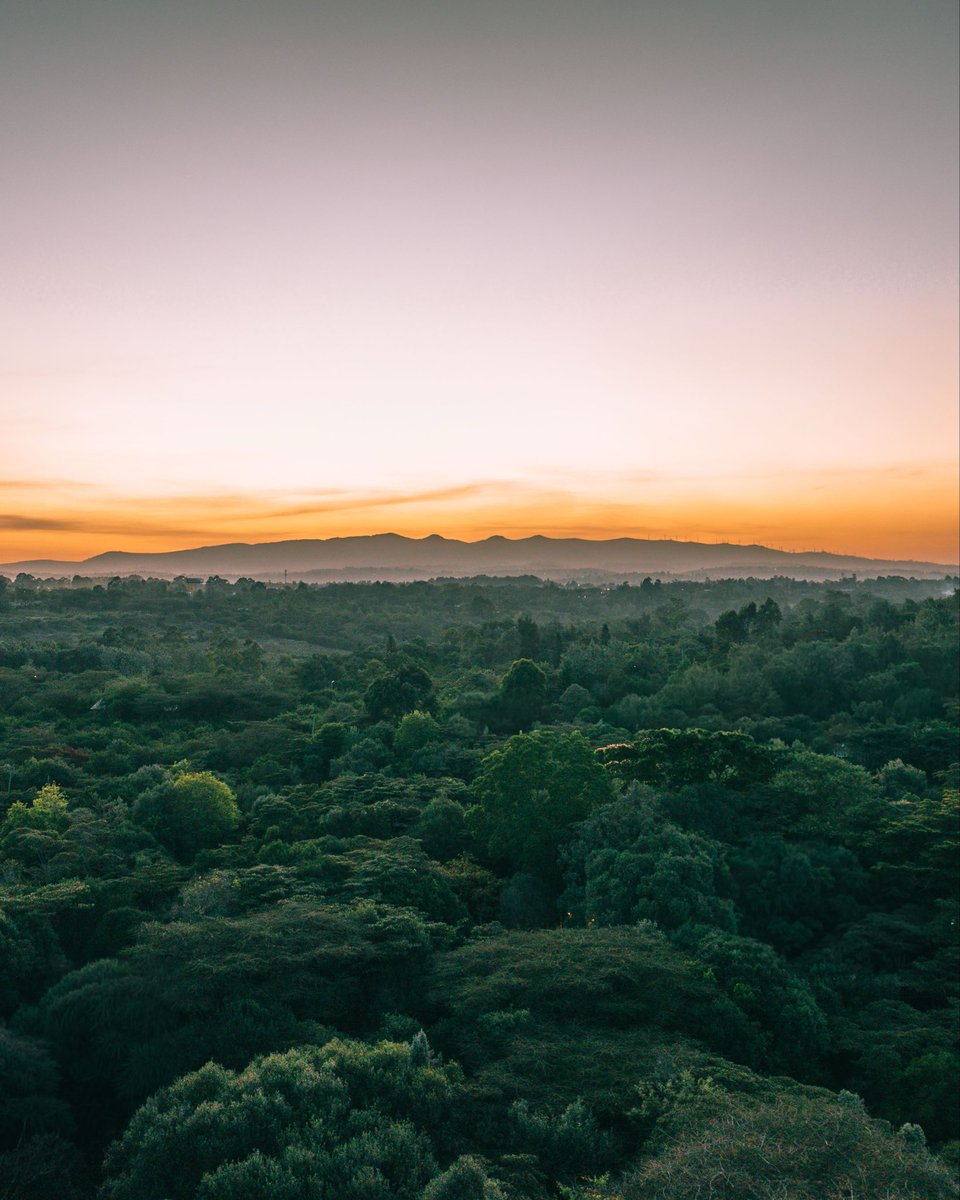 Onchomba Makori tweet media