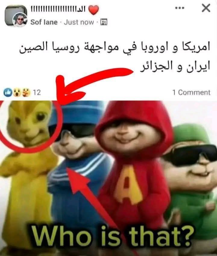 Mahmoud Al Mustafa tweet media