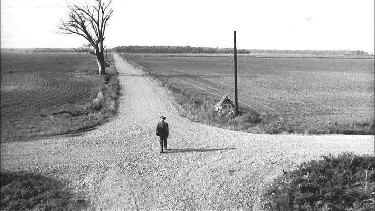 احمد tweet media