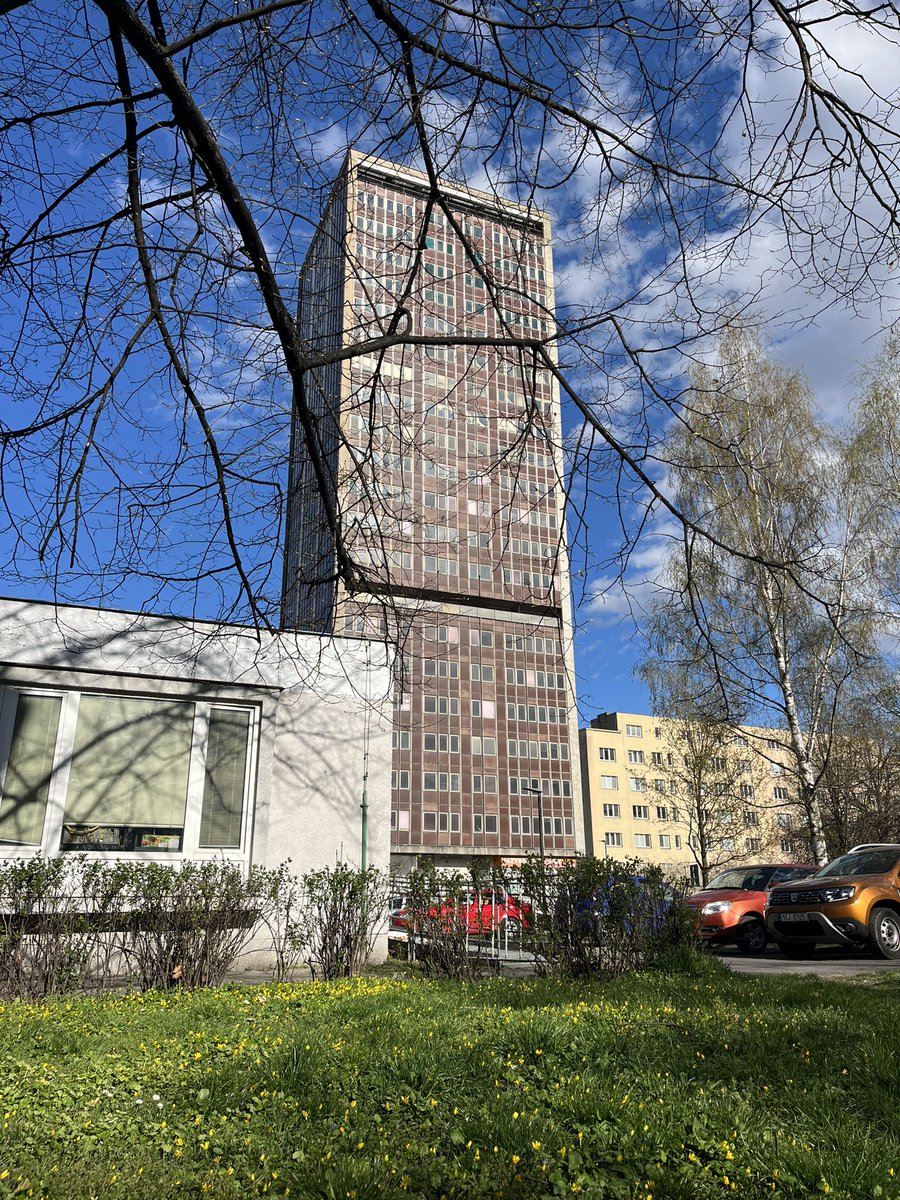 Jan Petrus tweet media