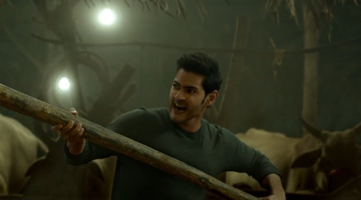 SURYA BHAI🦁 tweet media