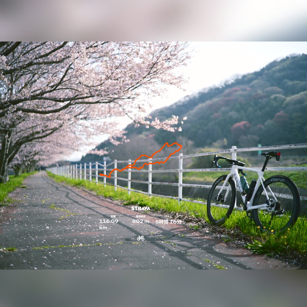 あぎさん@CANYON tweet media