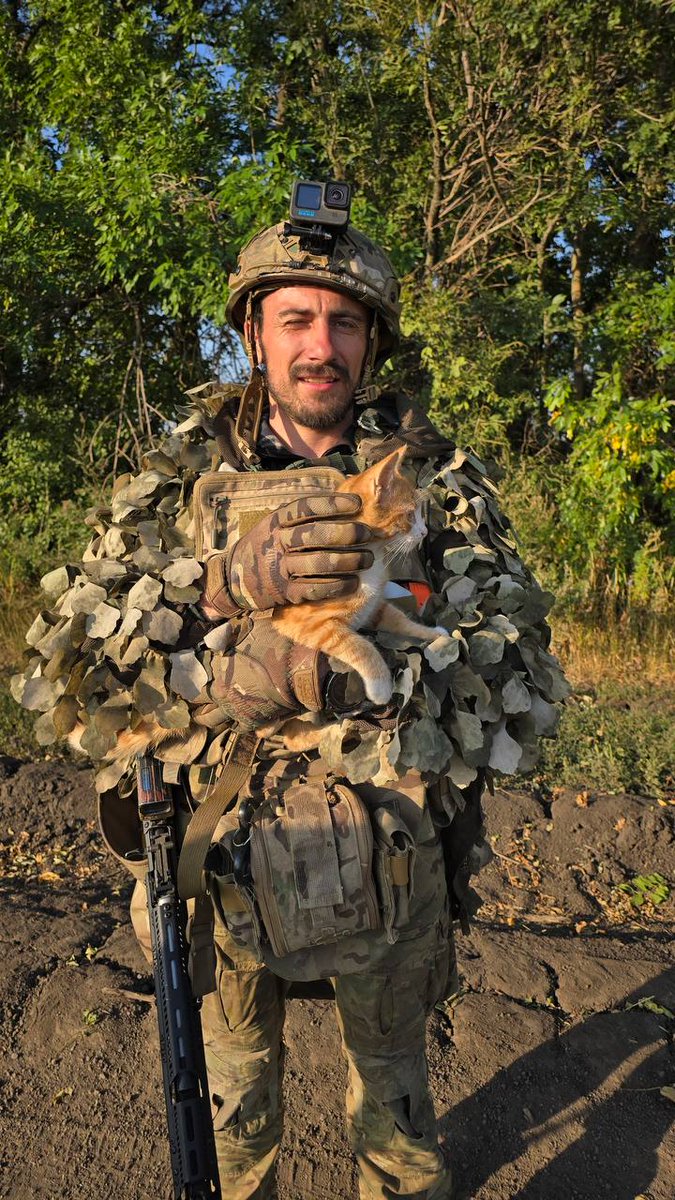 DD Geopolitics tweet media