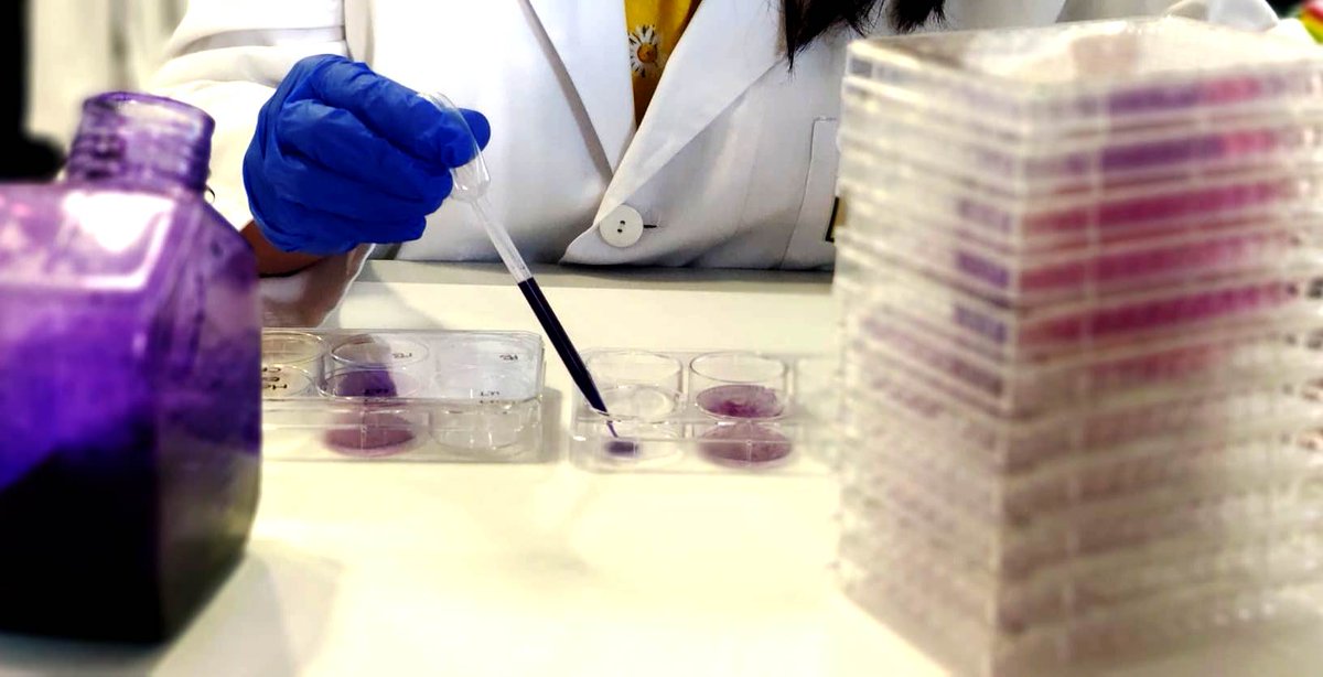 galizaCIG's tweet photo. 🔬A CIG lémbralle á Xunta que os institutos de investigación sanitaria de Galiza xa lideran a transferencia de coñecemento 
👉Ante o anuncio do SERGAS, a central salienta que non son precisas novas estruturas, senón  garantir condicións dignas e estables para o persoal investigador
 ℹ️https://t.co/D1j5FNCknm