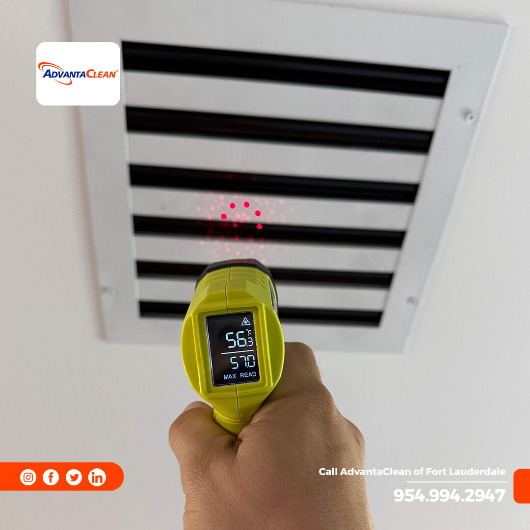 AdvantaClean Of Fort Lauderdale tweet media