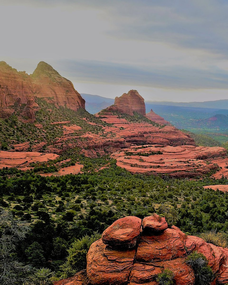 Sedona Philosophy tweet media