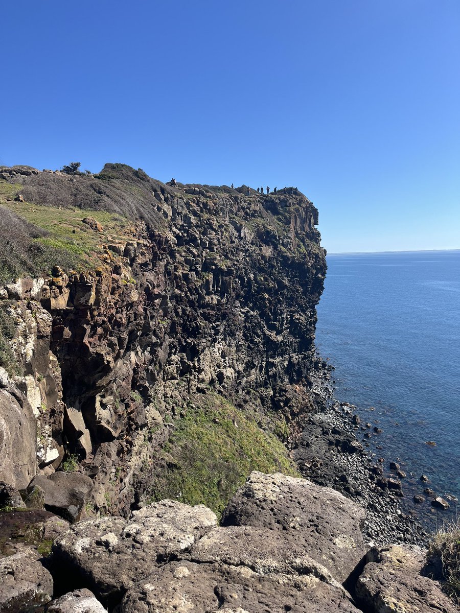 Marce 72⭐️⭐️⭐️ tweet media